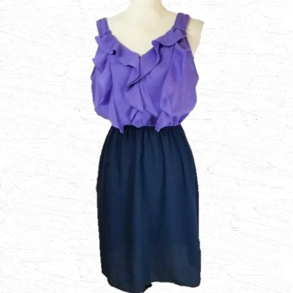 ⭐️HP⭐️ Mossimo Womens Purple & Navy Knee-Length Dress - Picture 1 of 6